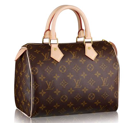 louis vuitton speedy alternative|louis vuitton speedy bag.